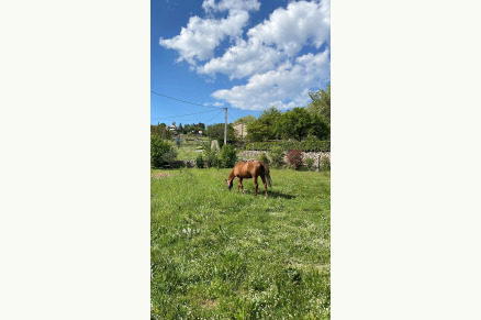 Villa Luminières in de Ardeche (FR) met paardenpark VMP071